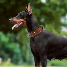 Load image into Gallery viewer, Dog Anti Bite Collar, Genuine Leather Protection Collar