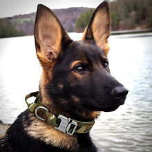 Load image into Gallery viewer, Tactical Dog Collar, Durable Adjustable Nylon