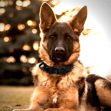 Load image into Gallery viewer, Tactical Dog Collar, Durable Adjustable Nylon