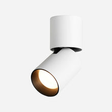 Load image into Gallery viewer, LED Adjustable Cylinder Spotlight
