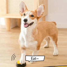 Load image into Gallery viewer, Dog Communication Buttons – 30-Second Recording Talking Buttons for Training