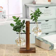 Load image into Gallery viewer, Hydroponic Glass Terrarium Vase for Home, Office Décor