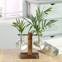 Load image into Gallery viewer, Hydroponic Glass Terrarium Vase for Home, Office Décor