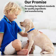 Load image into Gallery viewer, Ear Cleaner For Dogs And Cats
