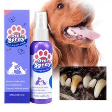 Load image into Gallery viewer, Dog Teeth Cleaner
