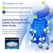 Load image into Gallery viewer, Hydrogen Water Ionizer