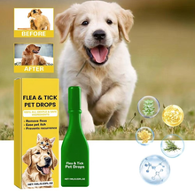 Load image into Gallery viewer, Cat Flea Treatment At Home