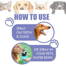 Load image into Gallery viewer, Dog Teeth Cleaner