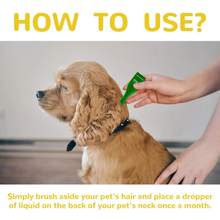 Load image into Gallery viewer, Cat Flea Treatment At Home