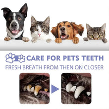 Load image into Gallery viewer, Dog Teeth Cleaner