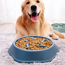 Load image into Gallery viewer, Slow Feeder Dog Bowl