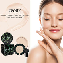 Load image into Gallery viewer, Moisturizing BB Cream with Mushroom Head Air Cushion