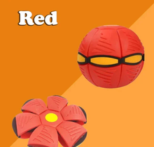 Load image into Gallery viewer, Interactive Doggy Disc Ball