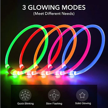 Load image into Gallery viewer, Light Up Dog Collar, USB Rechargeable LED Glowing Collar