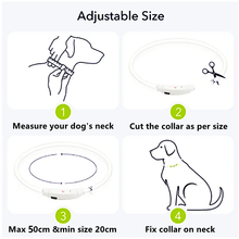 Load image into Gallery viewer, Light Up Dog Collar, USB Rechargeable LED Glowing Collar