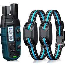 Load image into Gallery viewer, Premium 1000m Dog Training Collar with Remote