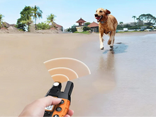 Load image into Gallery viewer, Premium 1000m Dog Training Collar with Remote