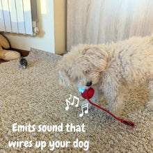 Load image into Gallery viewer, Smart Interactive Dog and Cat Ball – Rechargeable Pet Toy for Endless Fun