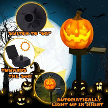 Load image into Gallery viewer, Solar Pumpkin Pathway Lights with Warm White LED and Automatic Dusk Sensor