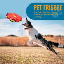 Load image into Gallery viewer, Flying Saucer Ball Dog Toy