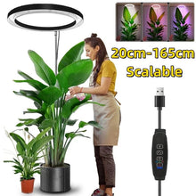 Load image into Gallery viewer, Full Spectrum Ring Grow Light with Adjustable Brightness and Telescoping Stand