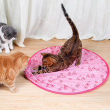 Load image into Gallery viewer, 2 in 1 Simulated Interactive Hunting Cat Toy