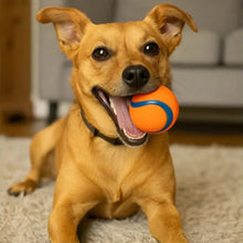 Load image into Gallery viewer, Soft Rubber Dog Ball, Medium Size, Floating & Squeaky Toy
