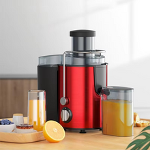 Load image into Gallery viewer, Stainless Steel Centrifugal Juicer with 800W Motor for Fruits and Vegetables