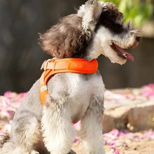 Load image into Gallery viewer, Small Dog Harness, Lightweight Adjustable Easy-On Design