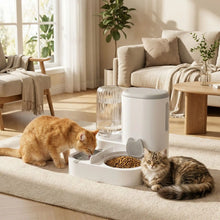 Load image into Gallery viewer, Automatic Cat Food and Water Dispenser 2-in-1 Gravity Feeder