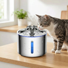 Load image into Gallery viewer, Stainless Steel Cat Water Fountain, Silent Filtered Automatic Dispenser
