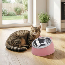 Load image into Gallery viewer, Elevated Cat Bowls, Anti-Slip and Tilted Design