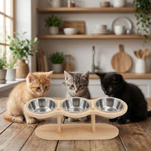 Load image into Gallery viewer, Elevated Cat Bowl, 15° Tilt Adjustable Bamboo Stand with Stainless Steel Bowls
