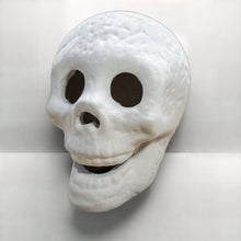 Load image into Gallery viewer, Ceramic Fire Pit Skull with Hollow Eyes for Halloween Bonfires and Campfires