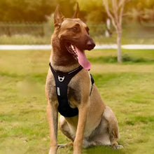 Load image into Gallery viewer, No Pull Dog Harness, Y Shape, Adjustable & Ergonomic Design