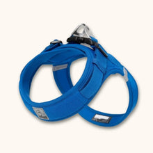Load image into Gallery viewer, Small Dog Harness, Lightweight Adjustable Easy-On Design