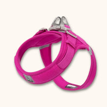 Load image into Gallery viewer, Small Dog Harness, Lightweight Adjustable Easy-On Design