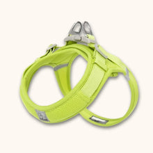 Load image into Gallery viewer, Small Dog Harness, Lightweight Adjustable Easy-On Design