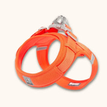Load image into Gallery viewer, Small Dog Harness, Lightweight Adjustable Easy-On Design