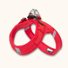 Load image into Gallery viewer, Small Dog Harness, Lightweight Adjustable Easy-On Design