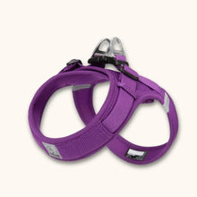 Load image into Gallery viewer, Small Dog Harness, Lightweight Adjustable Easy-On Design