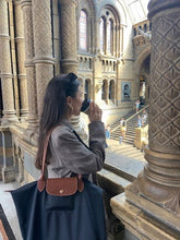 Load image into Gallery viewer, Luxury handle bag