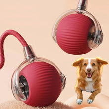 Load image into Gallery viewer, Motion Activated Rolling Ball for Dogs with Fluttering Tail and Random Bounce