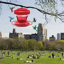 Load image into Gallery viewer, Hummingbird Feeder 16oz with Ant Moat and Eight Feeding Ports