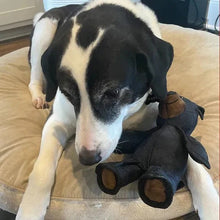 Load image into Gallery viewer, Bear Dog Toy with Built In Squeaker and Reinforced Nylon Rubber, Machine Washable
