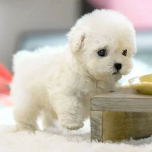 Load image into Gallery viewer, Interactive Robotic Puppy with Voice Activation and Touch Sensors, Soft Fur Texture