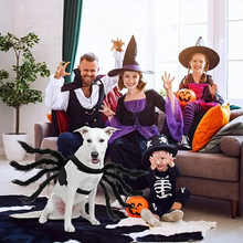 Load image into Gallery viewer, Spider Pet Costume with Attached Legs and Adjustable Straps
