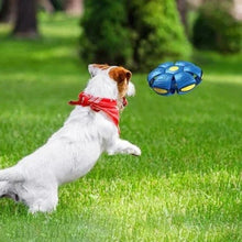Load image into Gallery viewer, Interactive Doggy Disc Ball