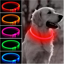 Load image into Gallery viewer, Light Up Dog Collar, USB Rechargeable LED Glowing Collar