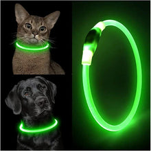 Load image into Gallery viewer, Light Up Dog Collar, USB Rechargeable LED Glowing Collar